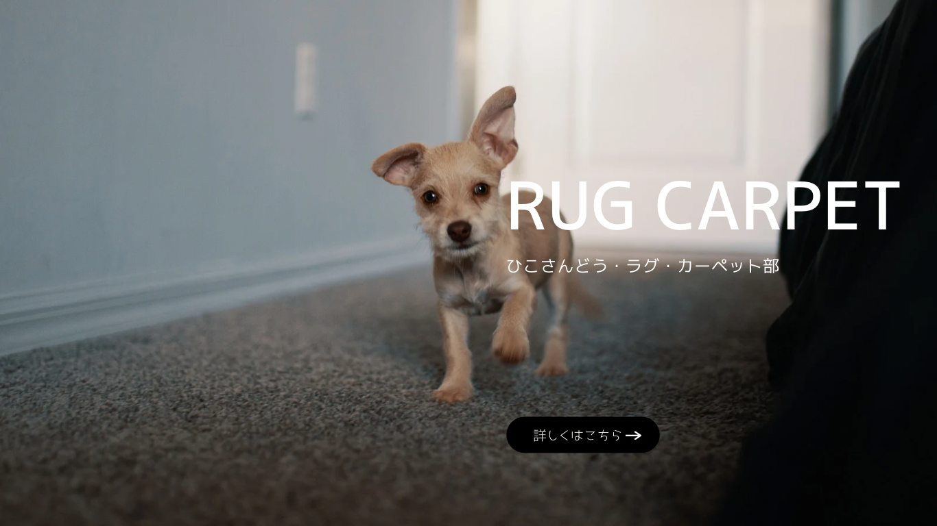 長崎で焼き物なら、歴史あるひこさんどうへ